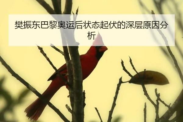 樊振东巴黎奥运后状态起伏的深层原因分析
